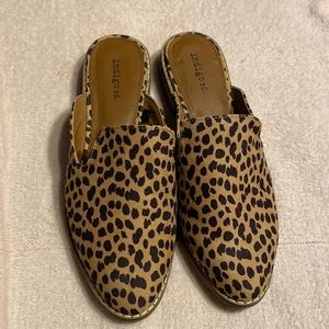 Brand new. Indigo rd. Cheetah slip ons
